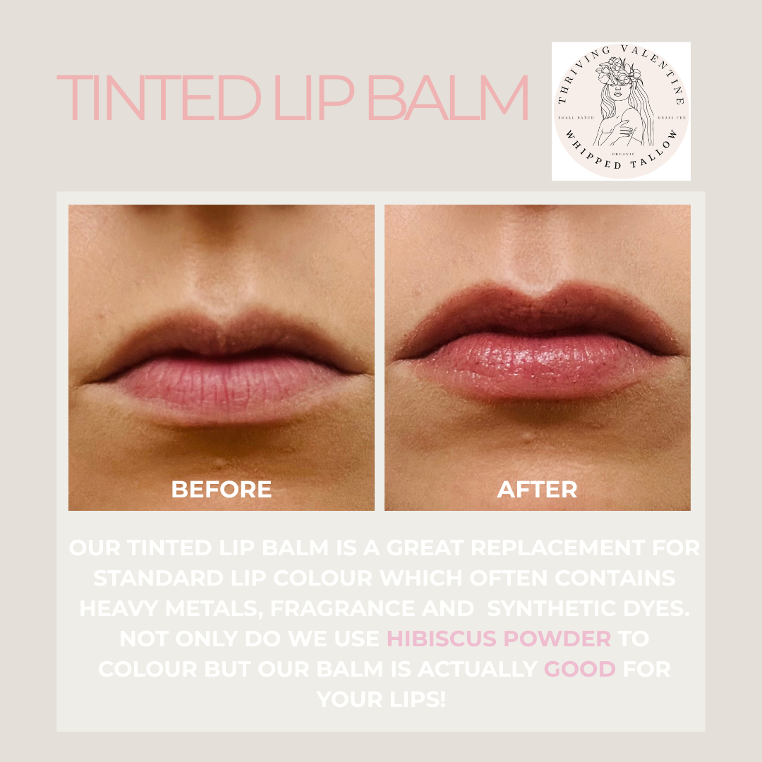 Tinted Tallow Lip Balm
